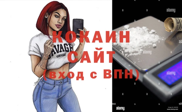 jwh Алзамай