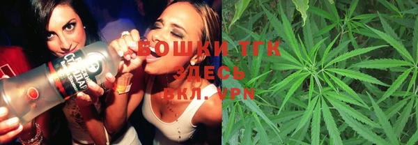 круглые Пересвет